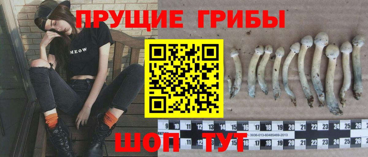Псилоцибиновые грибы MAGIC MUSHROOMS  Галлюциногенные грибы мицелий  Уссурийск  Вход с VPN 